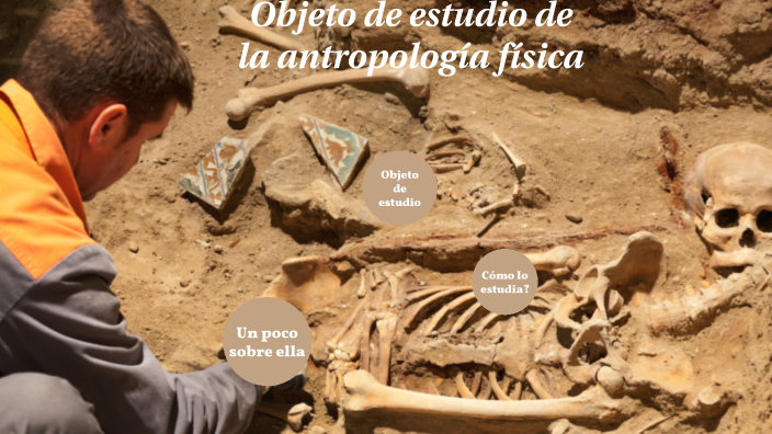 Objeto de estudio de la Antropología Física by Sterlyn POUERIET on Prezi