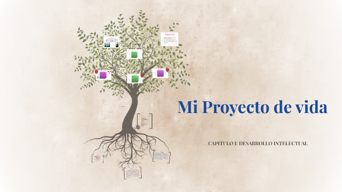 Mi Proyecto de vida by Mireya Ramirez on Prezi