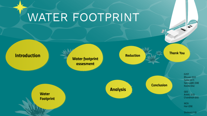 water footprint essay