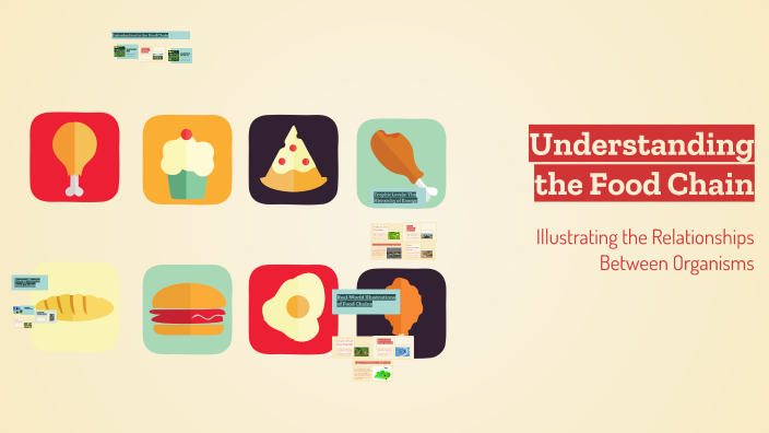 Understanding the Food Chain by Mario Hornsby on Prezi