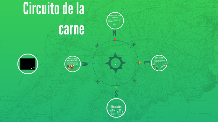 Circuito de la carne by Octavio Segal