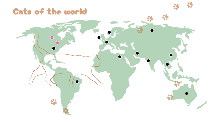 cat map by john doe on Prezi