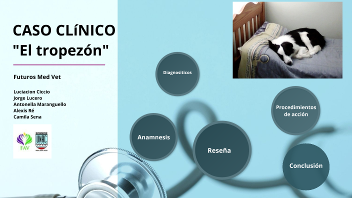 Caso Rabia By Camila Sena On Prezi