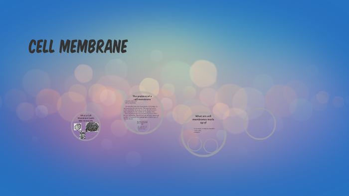 Cell Membrane by ryker bowman