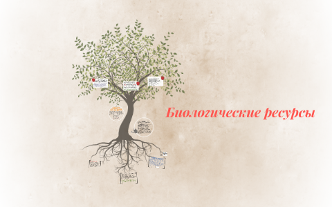 Биологические ресурсы. Оценка характеристик рек Оскол и Амур - дипломная работа