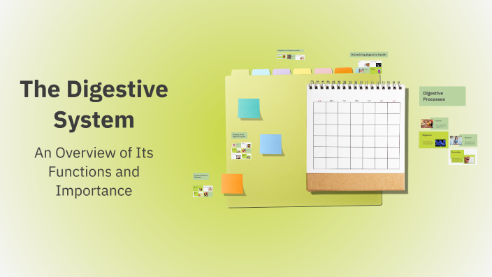 The Digestive System by aisha alaufi on Prezi