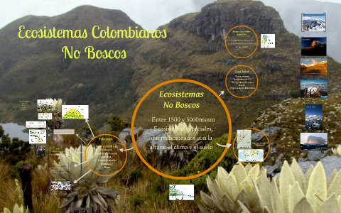 Ecosistemas Colombianos by Macarena De los santos on Prezi