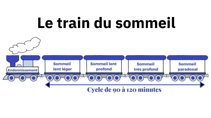 Train du sommeil by Mathis Fourché on Prezi