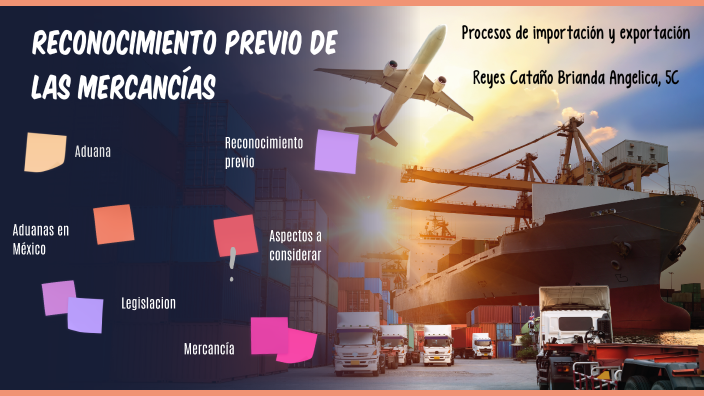 Reconocimiento previo de las mercancías by Brianda Cataño on Prezi