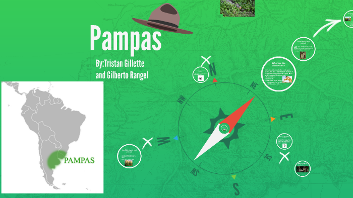 Pampas by Tristan Gillette on Prezi