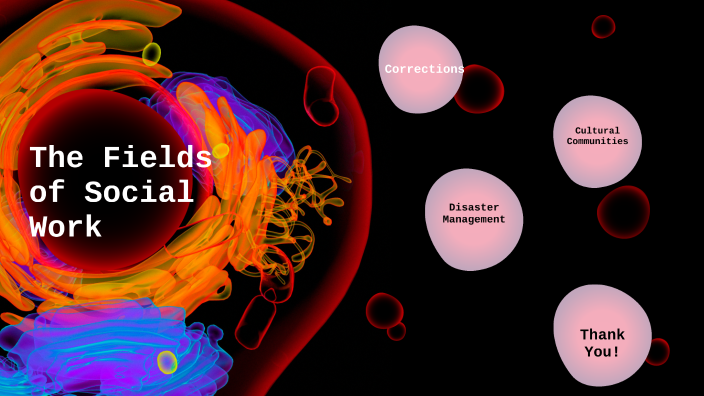 Fields of Social Work by Claudio Villareal