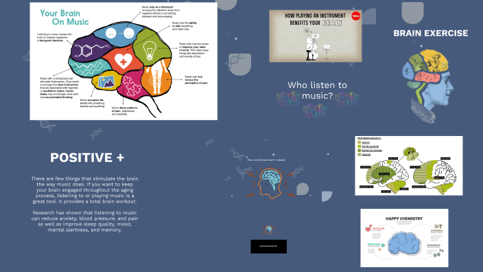 Understanding the Brain by Jubilee School on Prezi