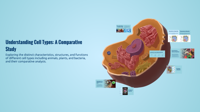 Understanding Cell Types: A Comparative Study by THOMAS HARTLEY on Prezi