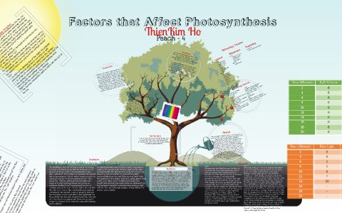 Factors that Affect Photosynthesis Lab by Kim Ho on Prezi