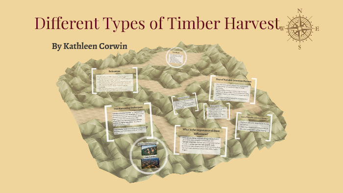 Tree Harvest Types Different Types of Timber Harvest by Katie Corwin on Prezi
