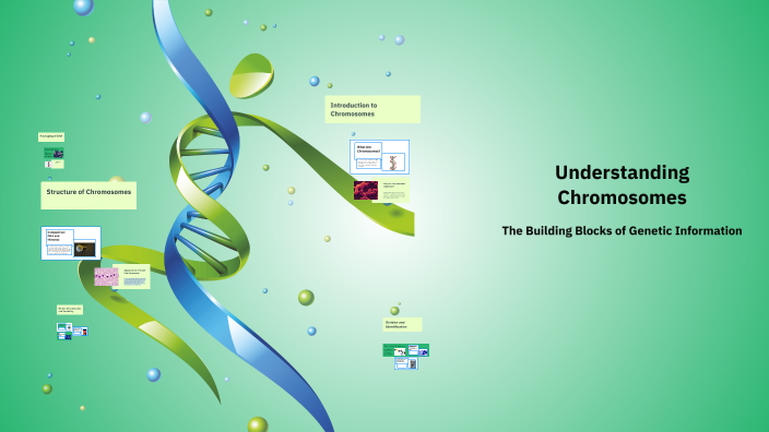 Understanding Chromosomes by me b on Prezi