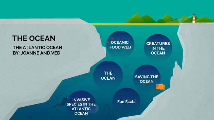 Ocean Food Web By Joanne Tran