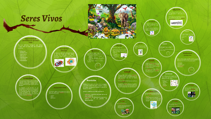 Seres Vivos by on Prezi