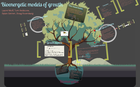 Bioenergetic Models of Growth by Laurel Wolf on Prezi