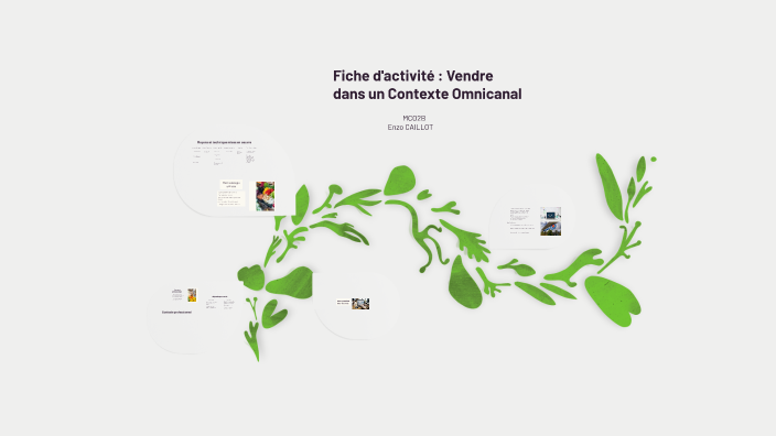 Fiche d'activité : Vendre dans un Contexte Omnicanal by enzo caillot on