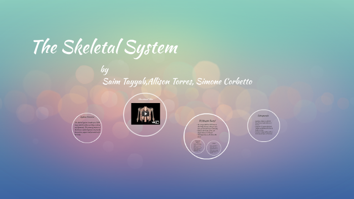 The Skeletal System by Allison Torres on Prezi