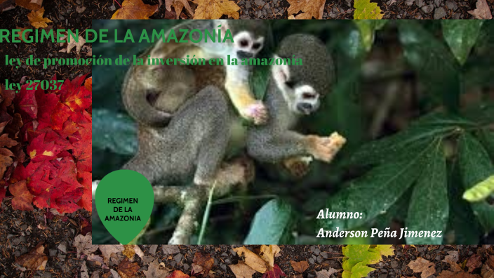 REGIMEN DE LA AMAZONIA by Anderson Peña Jimenez on Prezi