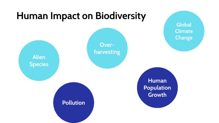 Humans' Impacts On Biodiversity By CAROLINA CAMARGO On Prezi