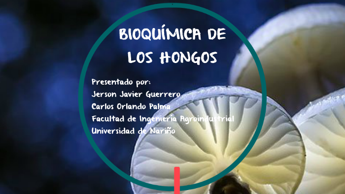 Bioquímica de los Hongos by jerson guerrero on Prezi