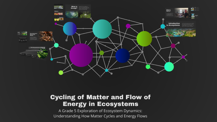 Cycling of Matter and Flow of Energy in Ecosystems by Peter Bohovesky ...