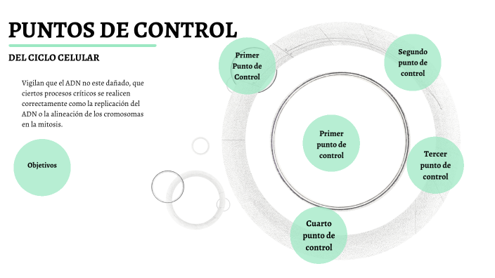 PUNTOS DE CONTROL by Sayuri Choez on Prezi