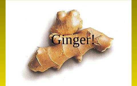 Ginger - Culinary Presentation on Herb/Spice by Robert Burnet on Prezi