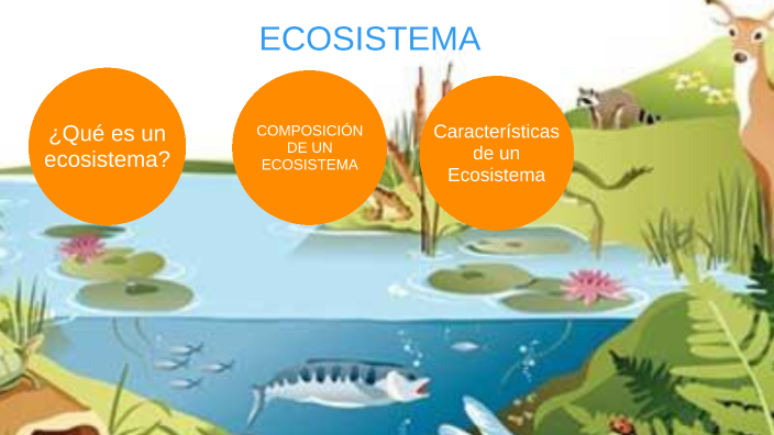 ECOSISTEMA by luis alarcon castillo on Prezi