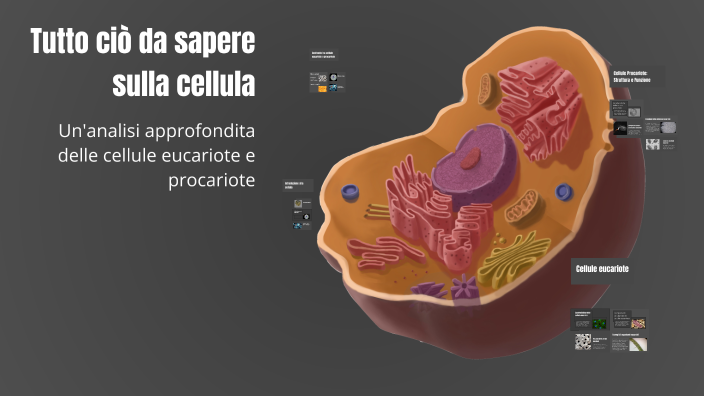 Tutto ciò da sapere sulla cellula by benedetta zingrone on Prezi