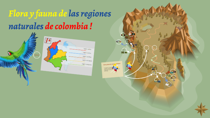 fauna y flora de colombia: mapa climático de colombia