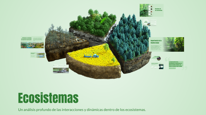 Ecosistemas by Alejandra Cardona on Prezi