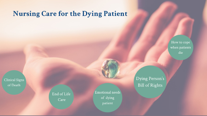 Nursing Care For The Dying Patient By Trudence Ballinger On Prezi 