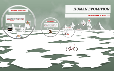 HUMAN EVOLUTION by