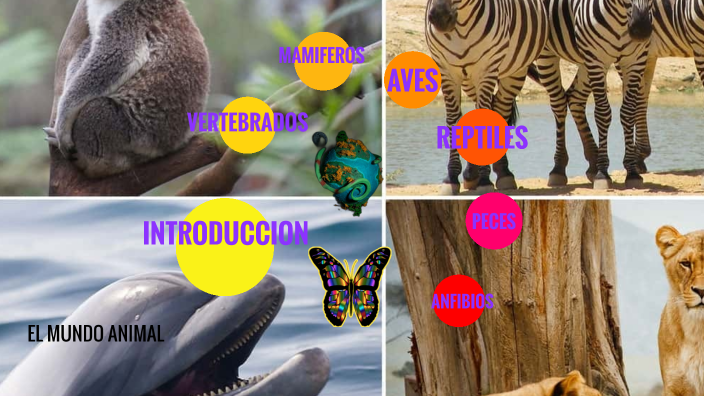 Los Animales by karla lopez on Prezi