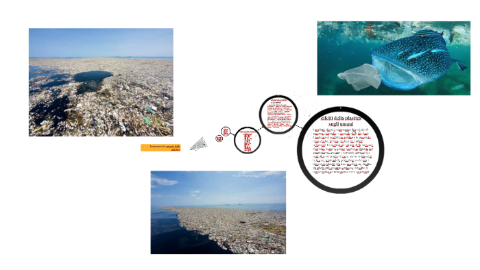 Inquinamento causato dalla plastica by Lorenzo Farisca on Prezi