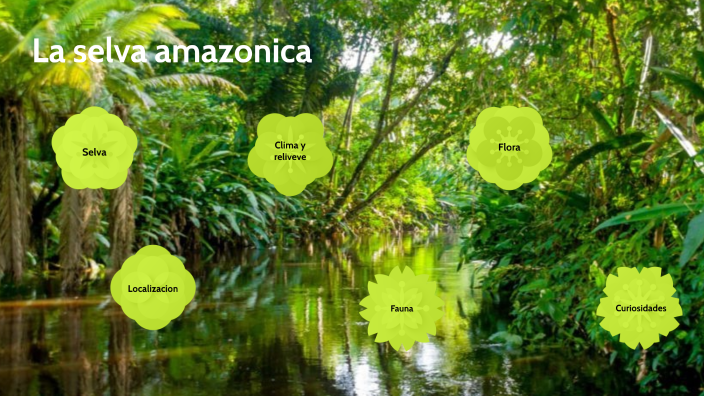 Selva amazonica by Alex switch on Prezi