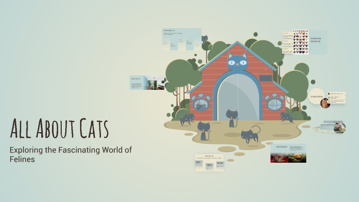 All About Cats by Айнура on Prezi