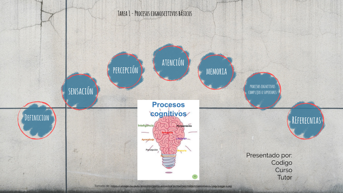 Procesos cognoscitivos básicos by johan sebastian Arango on Prezi