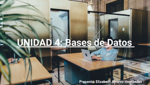 Unidad 4:Bases de Datos by Elizabeth Alvarez on Prezi Design