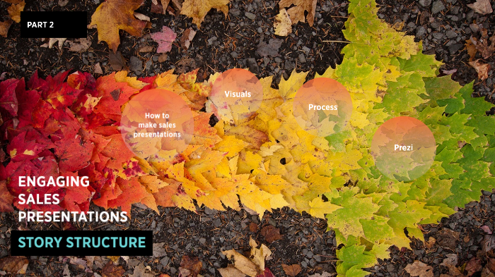 Copy of Engaging Sales Presentations | Story Structure