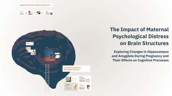 The Impact of Maternal Psychological Distress on Brain Structures by ...