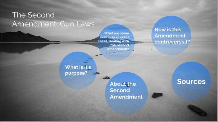 The Second Amendment by Alyssa Snodgrass on Prezi