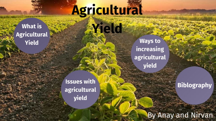 geography-agricultural-yield-slide-by-anay-patel-on-prezi