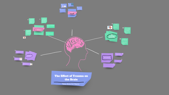 Traumas Effect on the Brain by Vanessa Nasturzio on Prezi