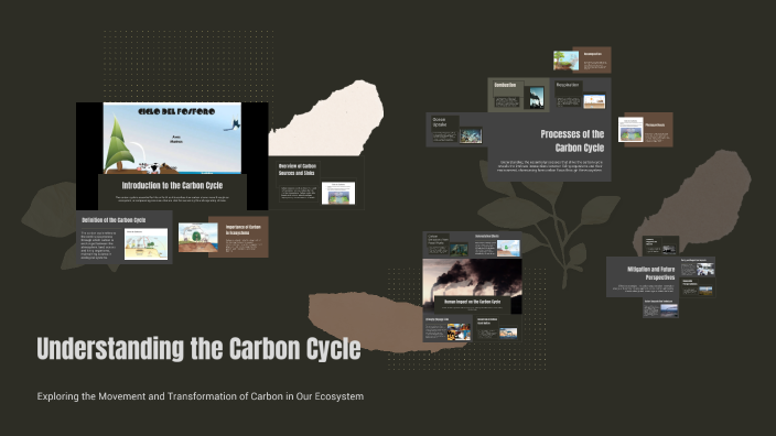 Understanding the Carbon Cycle by Eline Li on Prezi