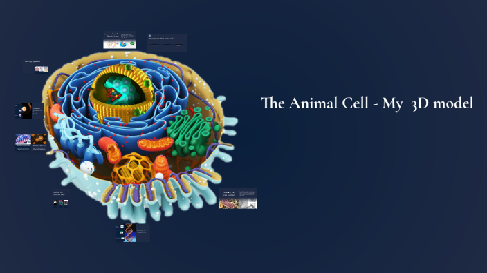 Maedot Elearning Exploring the Animal Cell by Maedot Enyew on Prezi